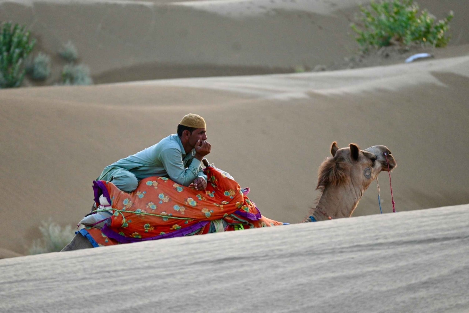 Jaisalmer: Ökenläger med kamelridning och kulturföreställning