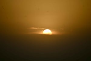 Jaisalmer: Ökenläger med kamelridning och kulturföreställning