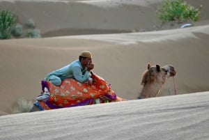 Jaisalmer: Ökenläger med kamelridning och kulturföreställning