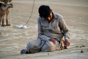 Jaisalmer: Ökenläger med kamelridning och kulturföreställning