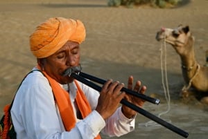 Jaisalmer: Ökenläger med kamelridning och kulturföreställning