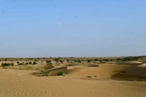 Jaisalmer: Ökenläger med kamelridning och kulturföreställning