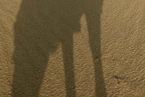 Jaisalmer: Ökenläger med kamelridning och kulturföreställning