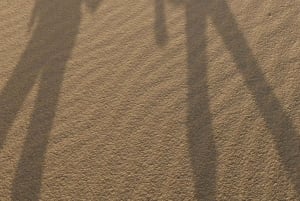 Jaisalmer: Ökenläger med kamelridning och kulturföreställning