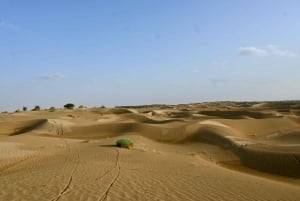 Jaisalmer: Ökenläger med kamelridning och kulturföreställning