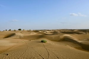 Jaisalmer: Ökenläger med kamelridning och kulturföreställning