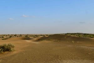 Jaisalmer: Ökenläger med kamelridning och kulturföreställning