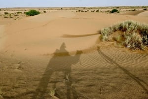 Jaisalmer: Ökenläger med kamelridning och kulturföreställning