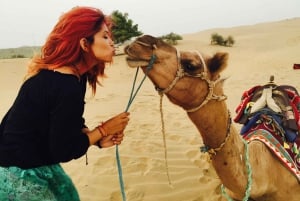 Jaisalmer: półdniowa wycieczka na wielbłądach z kolacją