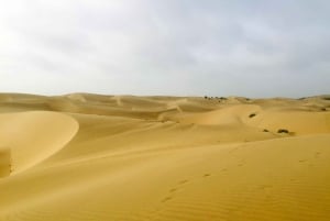 Jaisalmer: półdniowa wycieczka na wielbłądach z kolacją