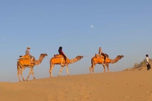Jaisalmer: Half-Day Camel Tour with Dinner