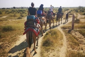 Jaisalmer Heritage Walking Tour With Professional Guide