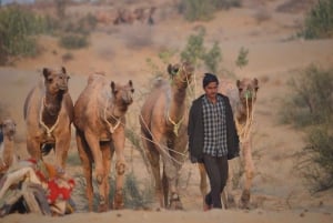 Jaisalmer: Jewels Around Jaisalmer Sightseeing Tour