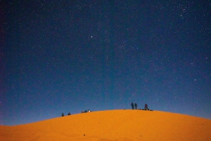 Jaisalmer: Jewels Around Jaisalmer Sightseeing Tour