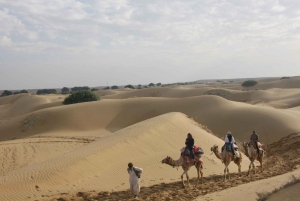 Jaisalmer: Jewels Around Jaisalmer sightseeingtur