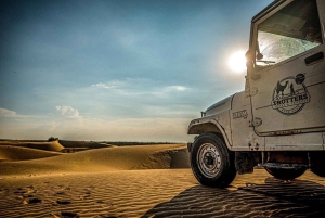 Jaisalmer: Jewels Around Jaisalmer sightseeingtur