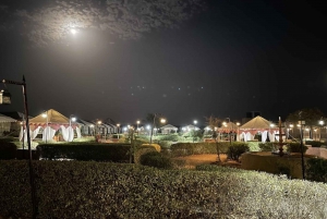 Luxury tent, dinner, breakfast, camel ride in thar desert