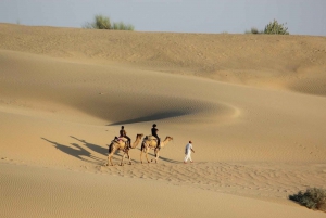 Luxury tent, dinner, breakfast, camel ride in thar desert