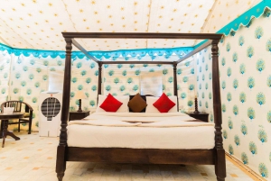 Luxury tent, dinner, breakfast, camel ride in thar desert