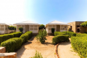 Luxury tent, dinner, breakfast, camel ride in thar desert