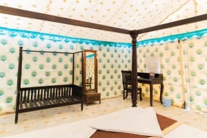 Luxury tent, dinner, breakfast, camel ride in thar desert