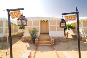 Luxury tent, dinner, breakfast, camel ride in thar desert
