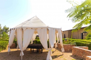 Luxury tent, dinner, breakfast, camel ride in thar desert