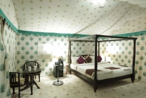 Luxury tent, dinner, breakfast, camel ride in thar desert