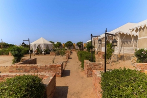 Luxury tent, dinner, breakfast, camel ride in thar desert