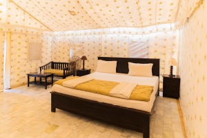 Luxury tent, dinner, breakfast, camel ride in thar desert