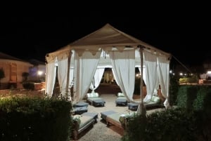 Luxury tent, dinner, breakfast, camel ride in thar desert