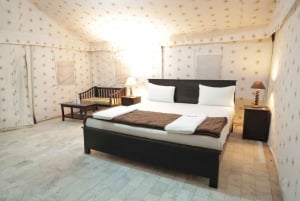 Luxury tent, dinner, breakfast, camel ride in thar desert