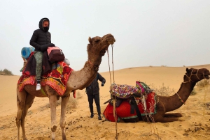 Джайсалмер: кочевая ночевка в пустыне Тар и сафари на верблюдах