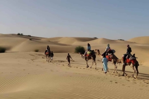 Джайсалмер: кочевая ночевка в пустыне Тар и сафари на верблюдах