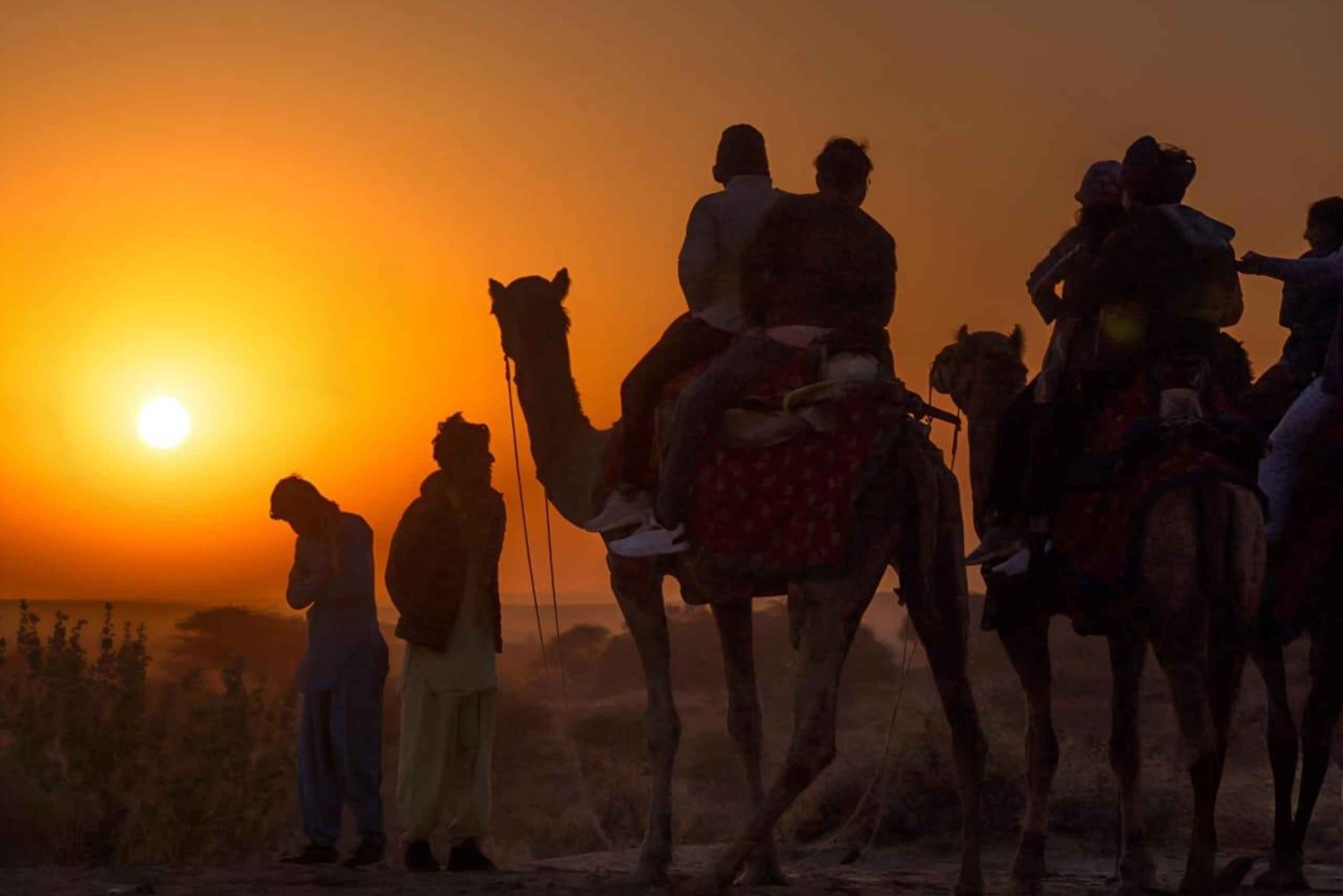 Jaisalmer: een woestijnsafari met kamelenrijden en een overnachting