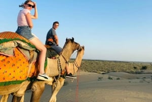 Jaisalmer: nocne safari na pustyni z jazdą na wielbłądzie