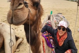 Jaisalmer: nocne safari na pustyni z jazdą na wielbłądzie