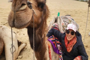Jaisalmer: Övernattning på ökensafari med kamelridning