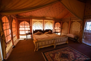 Jaisalmer: Overnight Stay in Swiss Tent with Camel Safari