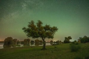 Jaisalmer: Overnight stay under the stars with camel safari