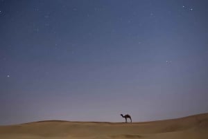 Jaisalmer: Overnight stay under the stars with camel safari