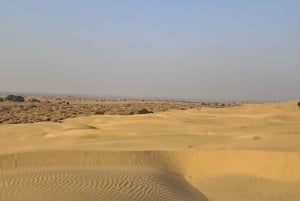 Jaisalmer: Overnight stay under the stars with camel safari