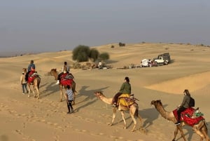 Jaisalmer: Overnight stay under the stars with camel safari