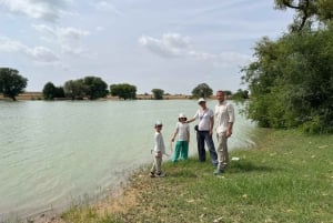 Jaisalmer: Overnight stay under the stars with camel safari