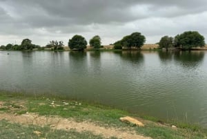 Jaisalmer: Overnight stay under the stars with camel safari