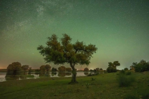 Jaisalmer: Overnachting onder de sterren met kamelensafari