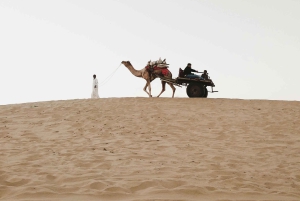 Jaisalmer: Overnachting onder de sterren met kamelensafari