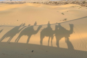 Jaisalmer: Overnachting onder de sterren met kamelensafari
