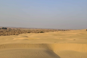 Jaisalmer: Overnachting onder de sterren met kamelensafari