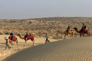 Jaisalmer: Overnachting onder de sterren met kamelensafari